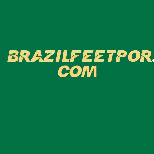 Logo da BRAZILFEETPOR